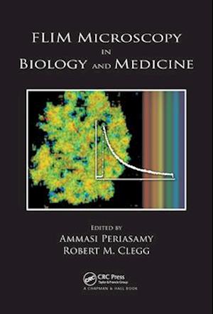 FLIM Microscopy in Biology and Medicine