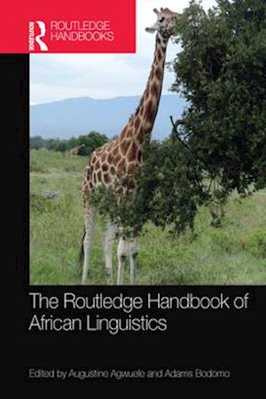 The Routledge Handbook of African Linguistics