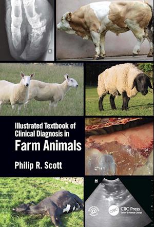 Illustrated Textbook of Clinical Diagnosis in Farm Animals