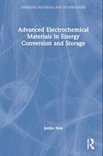 Advanced Electrochemical Materials in Energy Conversion and Storage