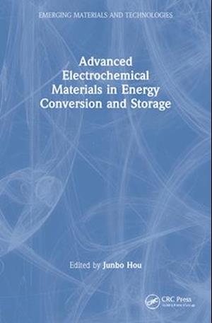 Advanced Electrochemical Materials in Energy Conversion and Storage