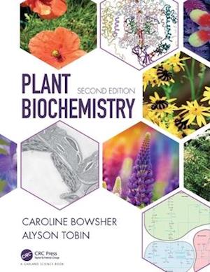 Plant Biochemistry