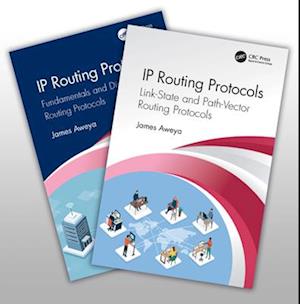 IP Routing Protocols