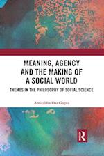 Meaning, Agency and the Making of a Social World