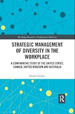Strategic Management of Diversity in the Workplace