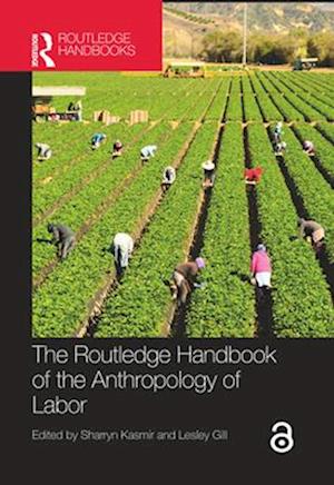 The Routledge Handbook of the Anthropology of Labor