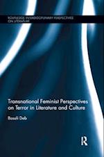 Transnational Feminist Perspectives on Terror in Literature and Culture