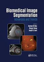 Biomedical Image Segmentation