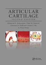 Articular Cartilage