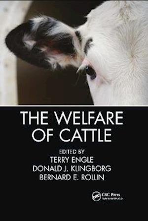 The Welfare of Cattle