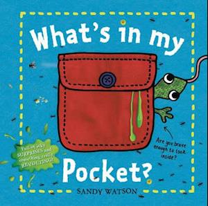 What's in My Pocket?