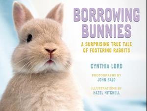 Borrowing Bunnies