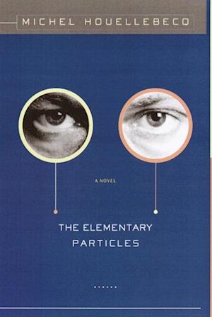 Elementary Particles