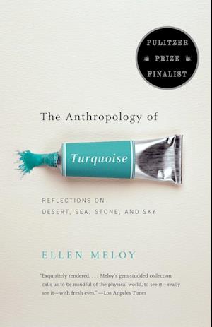 The Anthropology of Turquoise