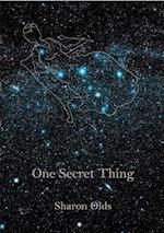 One Secret Thing
