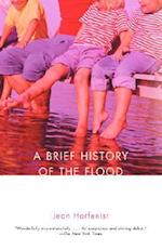 A Brief History of the Flood