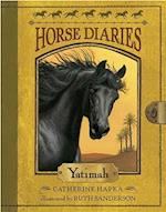 Horse Diaries #6