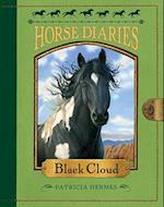 Horse Diaries #8