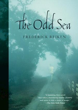 The Odd Sea