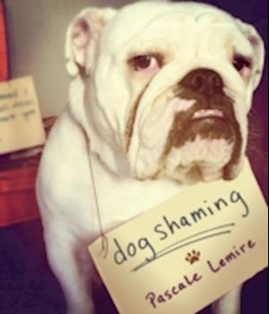 Dog Shaming