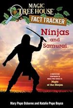 Ninjas and Samurai