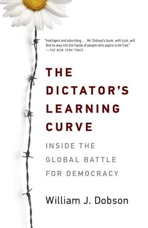 Dictator's Learning Curve