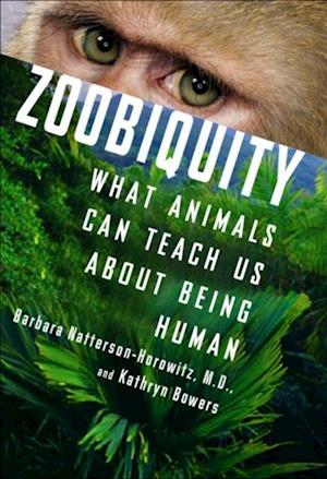 Zoobiquity