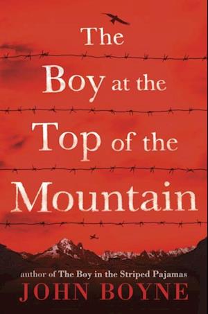 Boy at the Top of the Mountain