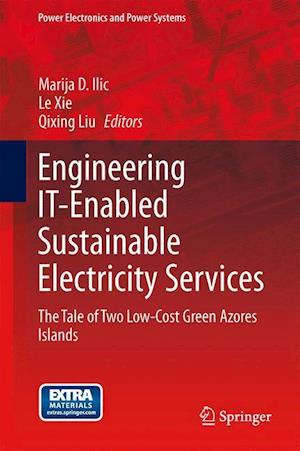 Engineering IT-Enabled Sustainable Electricity Services