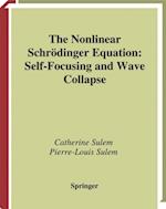 Nonlinear Schrodinger Equation