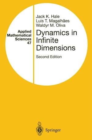 Dynamics in Infinite Dimensions