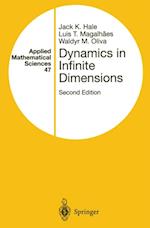 Dynamics in Infinite Dimensions