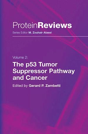 The p53 Tumor Suppressor Pathway and Cancer