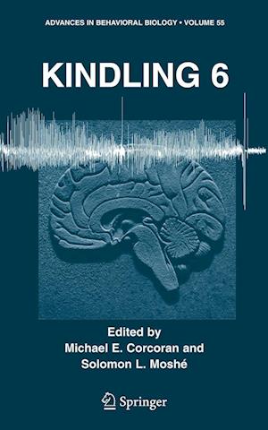 Kindling 6