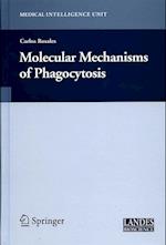 Molecular Mechanisms of Phagocytosis