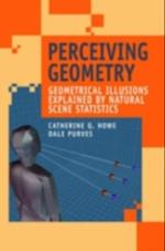 Perceiving Geometry