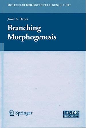 Branching Morphogenesis