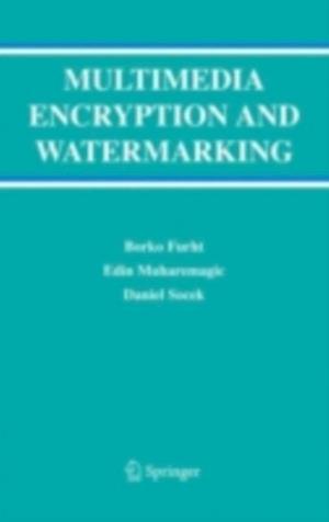 Multimedia Encryption and Watermarking