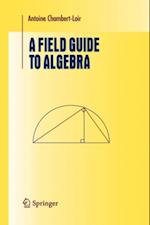 Field Guide to Algebra
