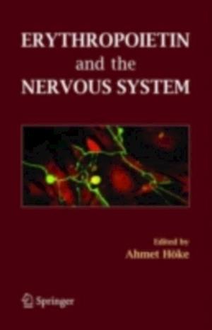 Erythropoietin and the Nervous System