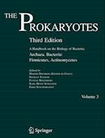 Prokaryotes