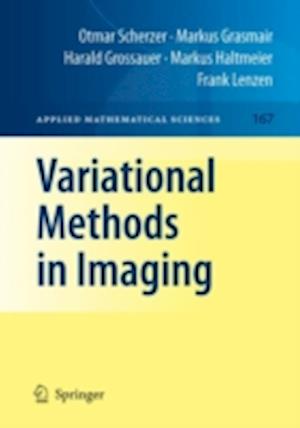 Variational Methods in Imaging