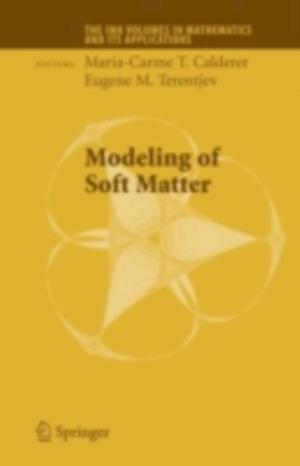 Modeling of Soft Matter