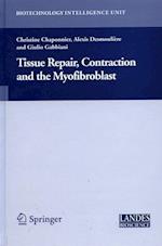 Tissue Repair, Contraction and the Myofibroblast