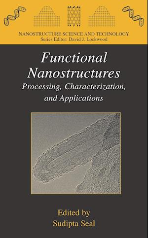 Functional Nanostructures