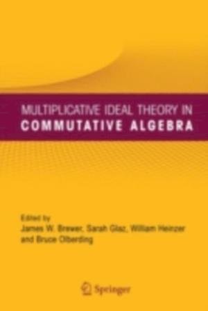 Multiplicative Ideal Theory in Commutative Algebra