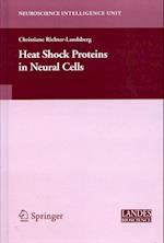 Heat Shock Proteins in Neural Cells