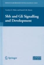 Shh and Gli Signalling in Development