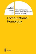 Computational Homology