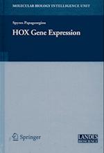 HOX Gene Expression
